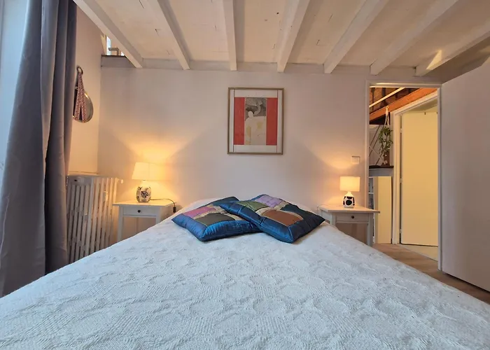 Centre Historique Le Brinon Apartament